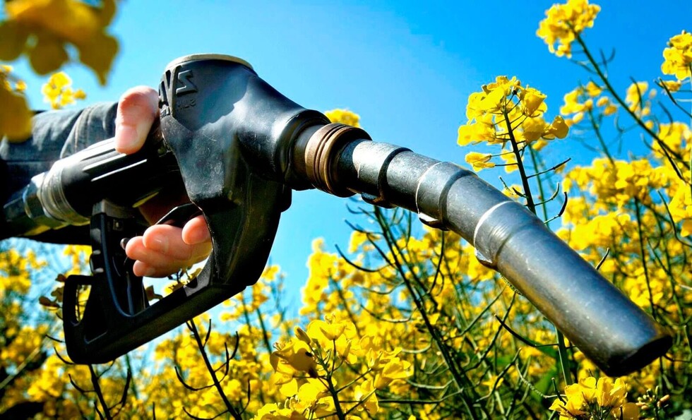 Apuesta por el etanol no es verde, sostenible ni económica