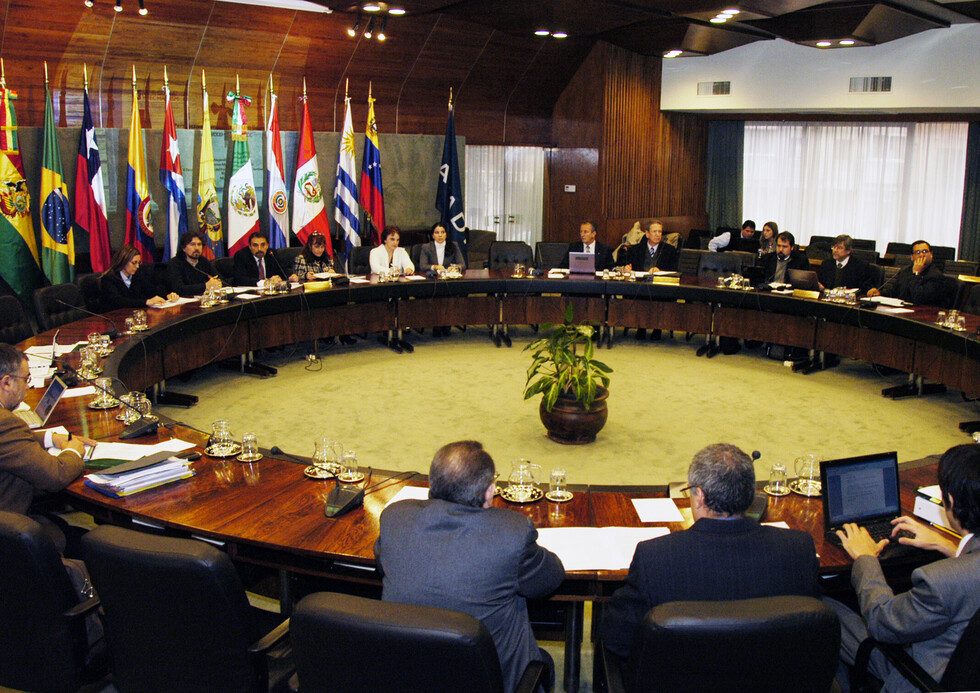 Bolivia destaca en el Mercosur avances de la política de DDHH y reformas judiciales