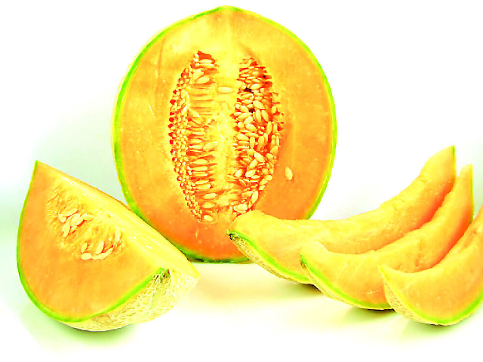 Los secretos del  melón