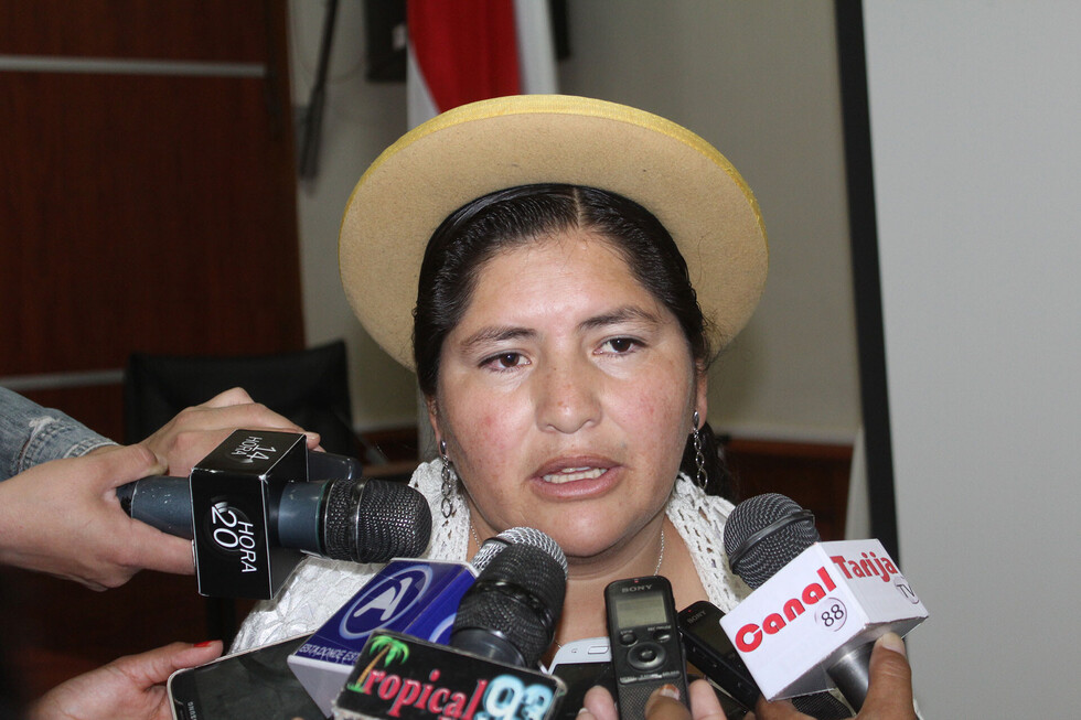 Realizan estudio de mercado para el acopio de urea en Villa Montes