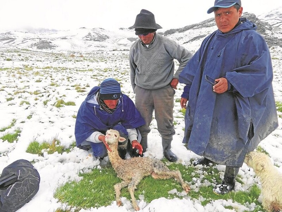 Las víctimas del invierno y las grandes amenazas