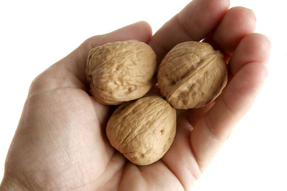 La nuez en la  alimentación