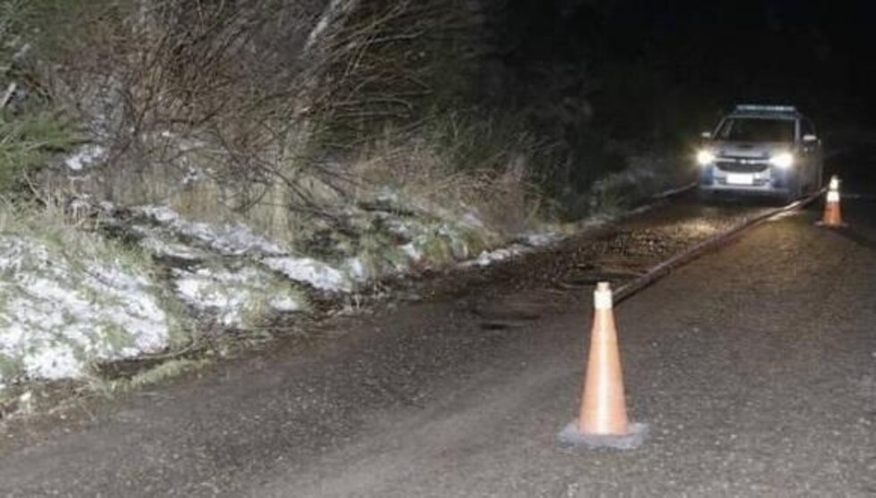 Menores secuestradas aparecen atadas a árbol