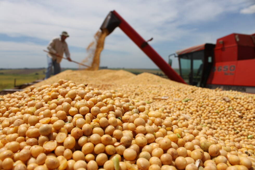 Reconocen suba en precio de soya