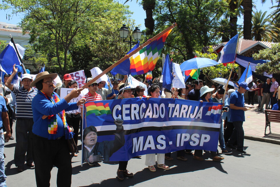 El MAS Tarija espera a Héctor  Arce para convocar Congreso