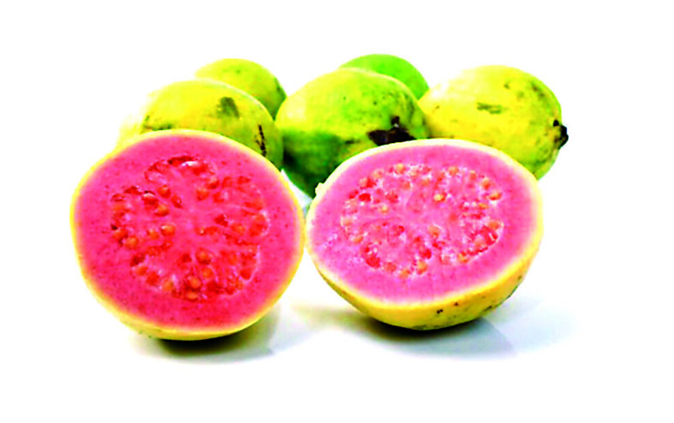 La guayaba en la salud ocular