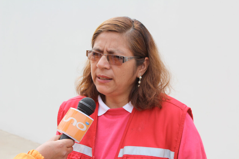El TSJ no consideró memoriales de Mesa