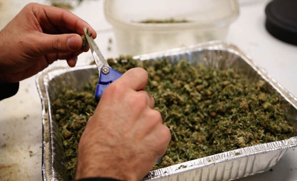 Encuentran marihuana en un baño de la Terminal