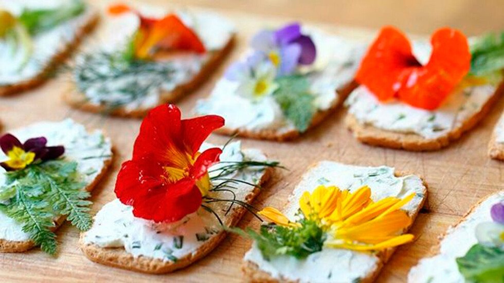 Las Flores, sus beneficios para la Salud