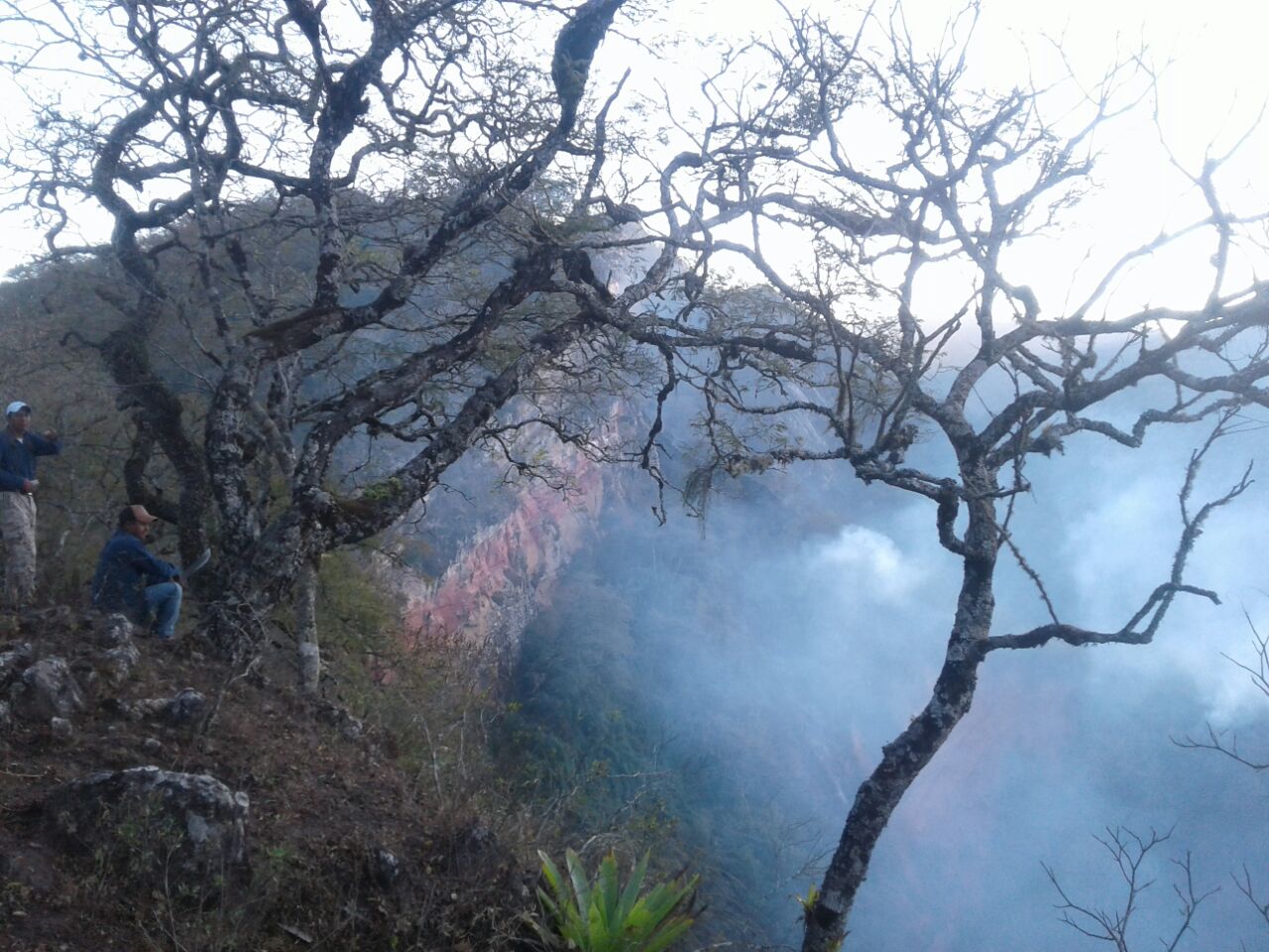 Reportan incendio de magnitud en el parque nacional Aguaragüe de Tarija (FOTOS)
