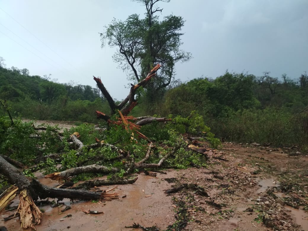Evalúan daños en Caraparí por fuertes vientos y granizada