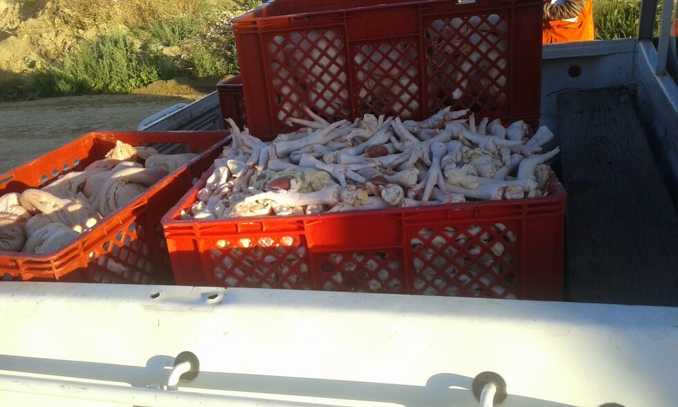 Intendencia decomisó pollo y menundencias en el mercado campesino