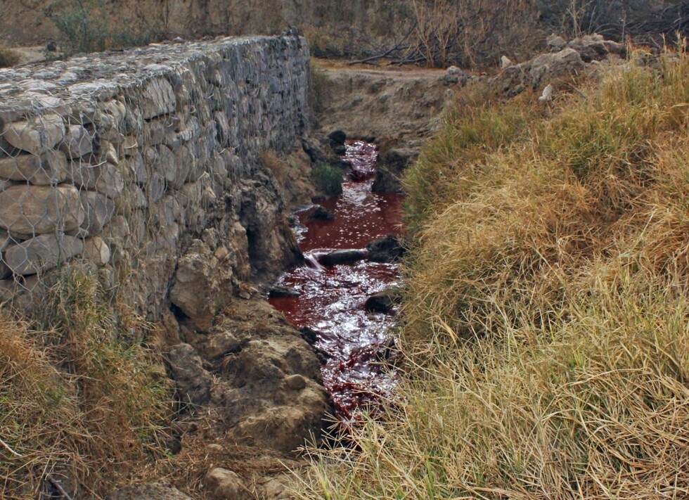 Matadero Municipal usa hasta 100.000 litros de agua por día