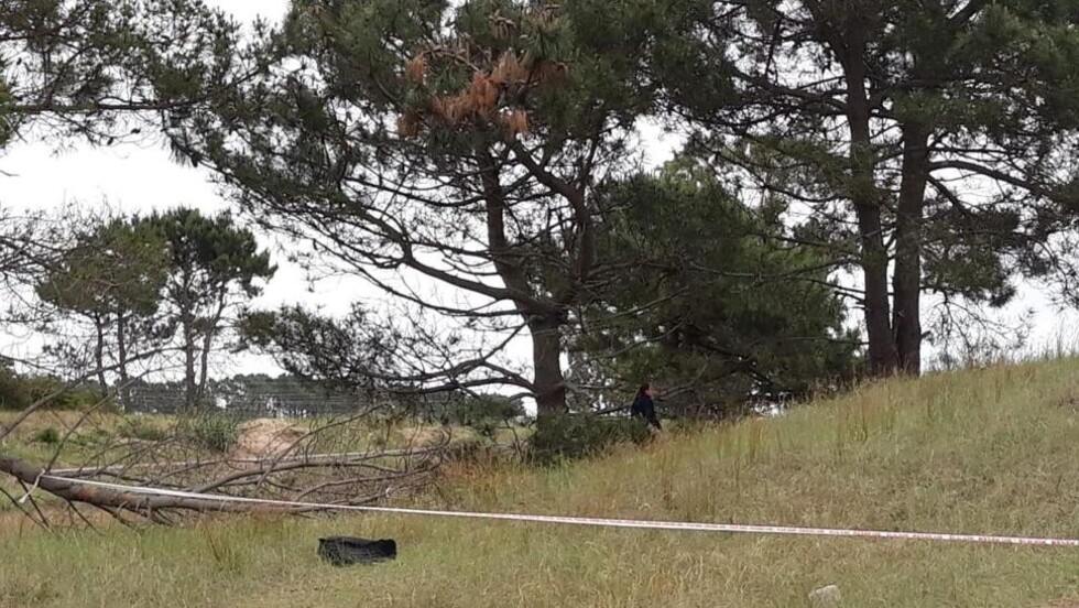 Hallan el cadáver de una mujer y detienen al novio