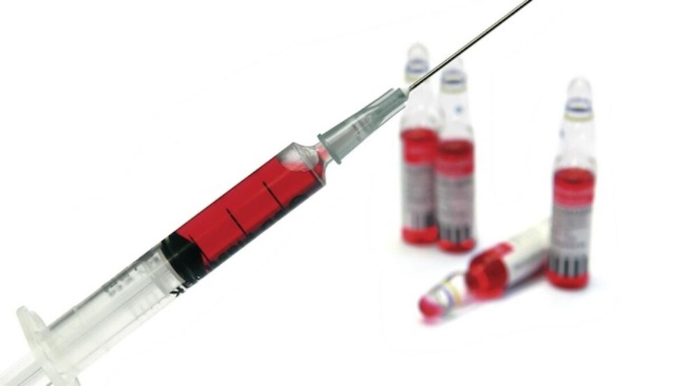 Todo sobre la vitamina B12