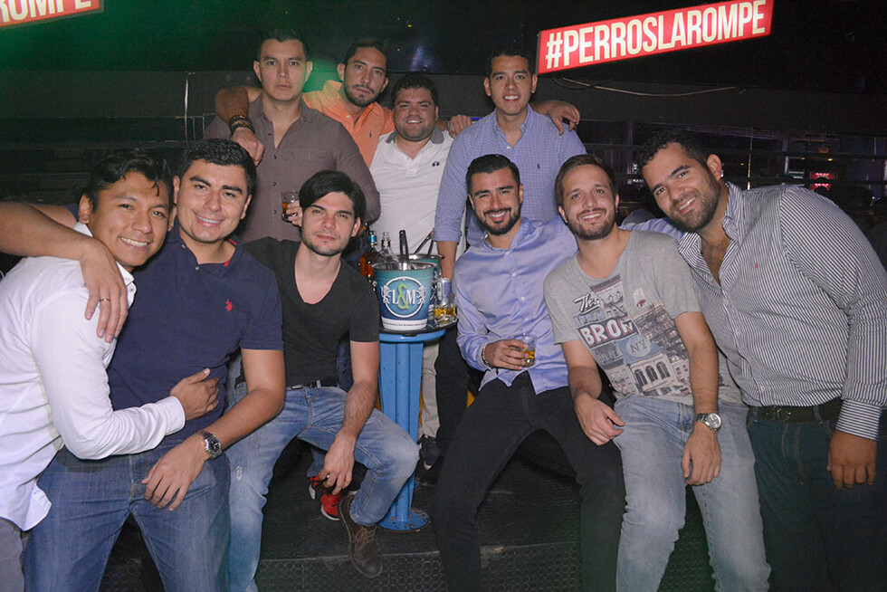 De fiesta   en Perros  y Gatos