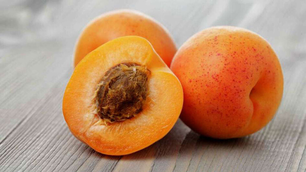 El damasco para la dieta