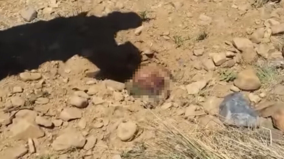 Hallan cráneo de una persona que fue decapitada