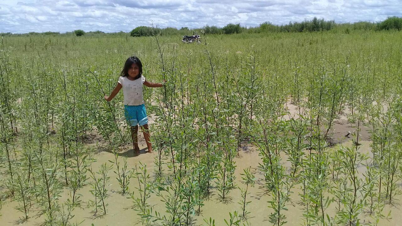 El río Pilcomayo llegó a los 2,24 metros y continua en ascenso