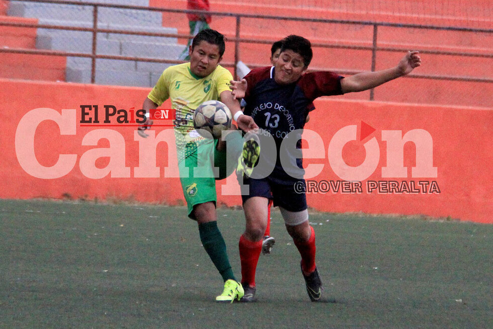 Directorio ATF propondrá iniciar la temporada 2019 en febrero