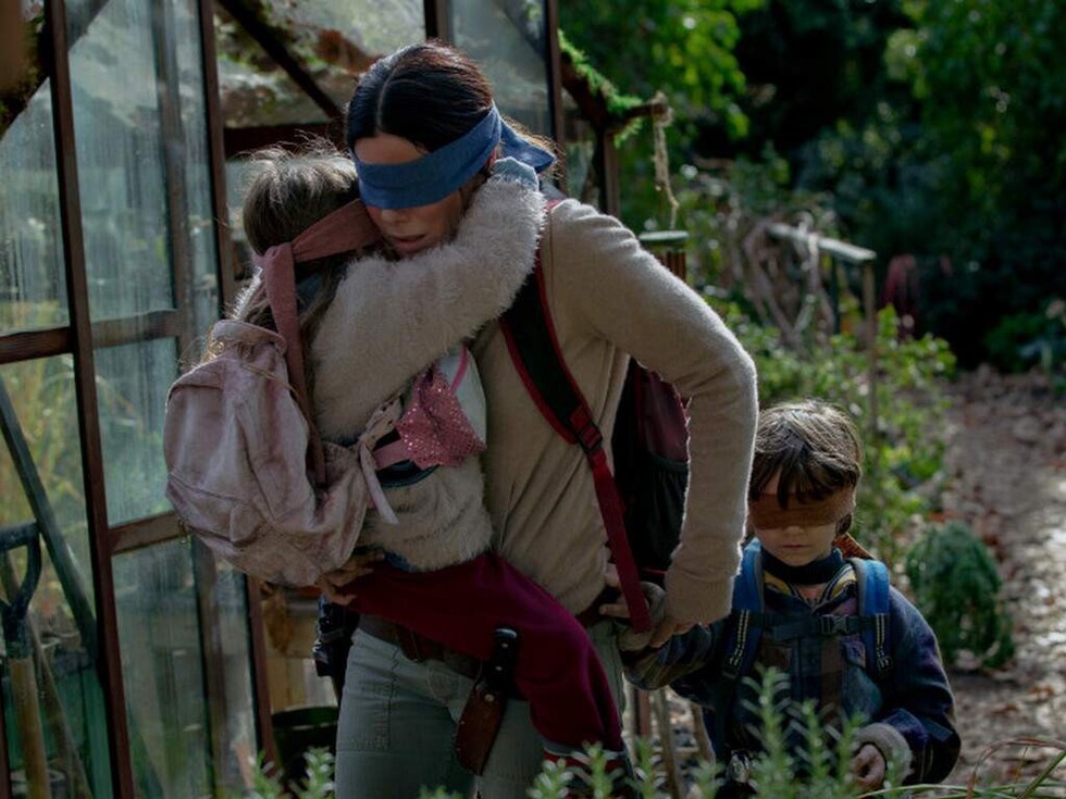 El reto Bird Box  que tiene locos a sus fanáticos