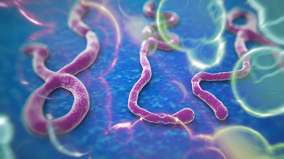 Los parásitos en la salud