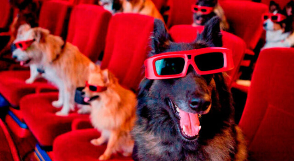 Abren cine para perros en  Estados Unidos