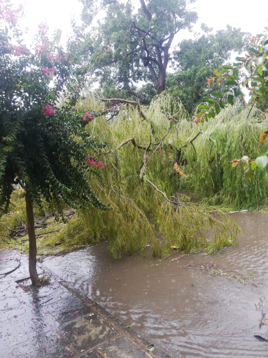 Tormenta en Tarija causa estragos: "un trueno y chau luz" (FOTOS)