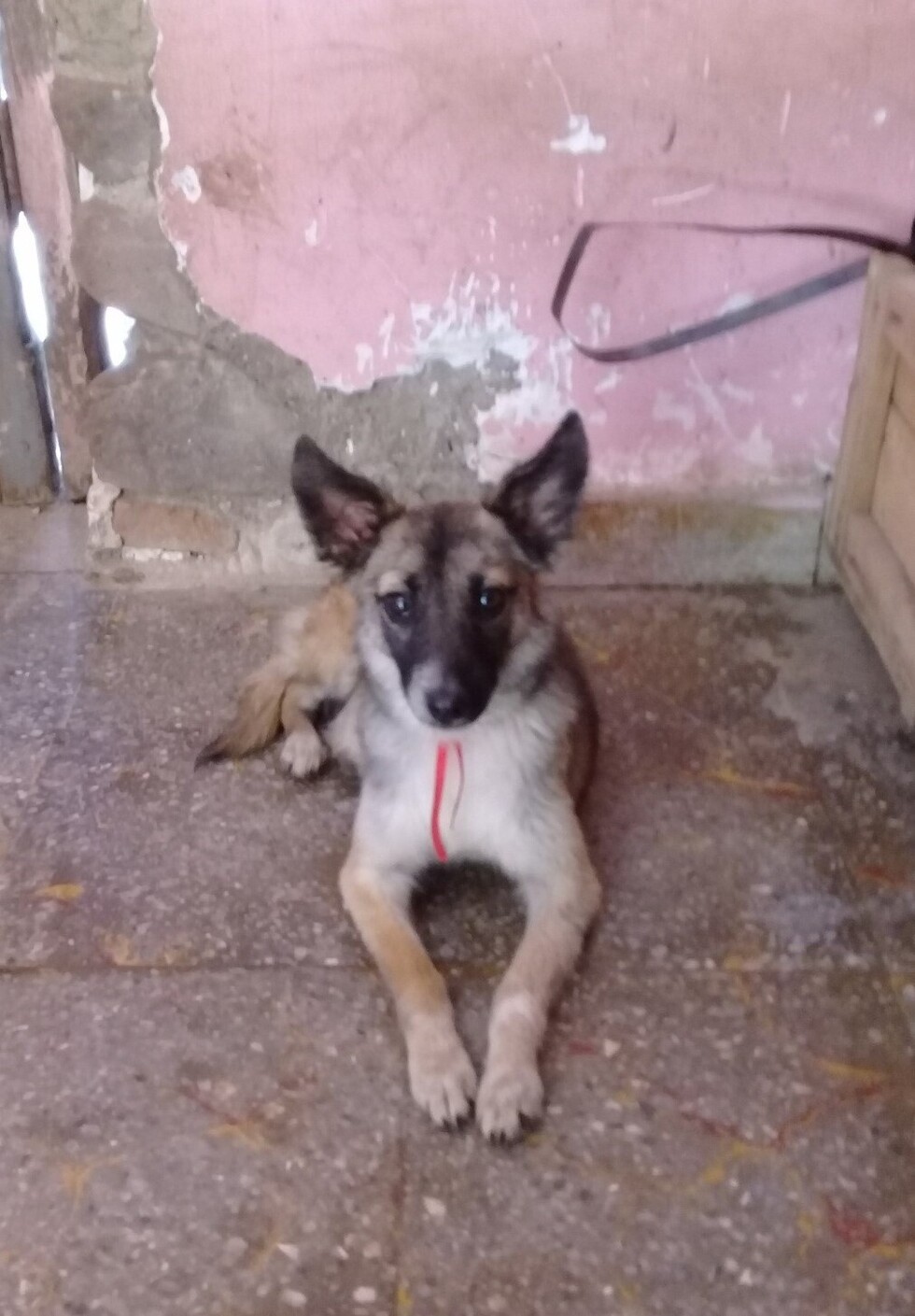 Lucerito, la guardiana