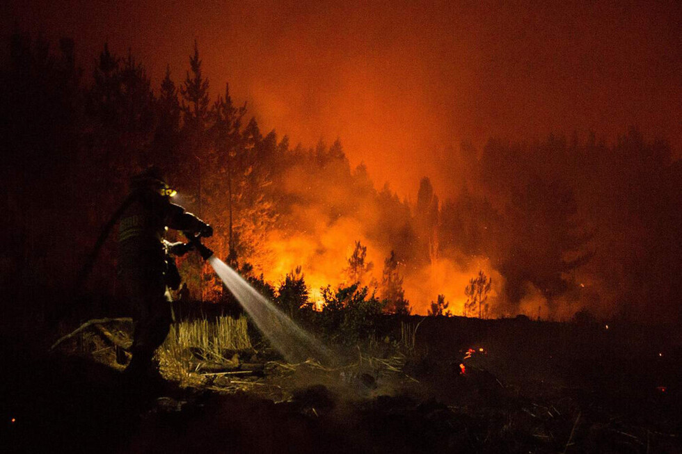 Incendios en Chile causan pérdidas irreparables