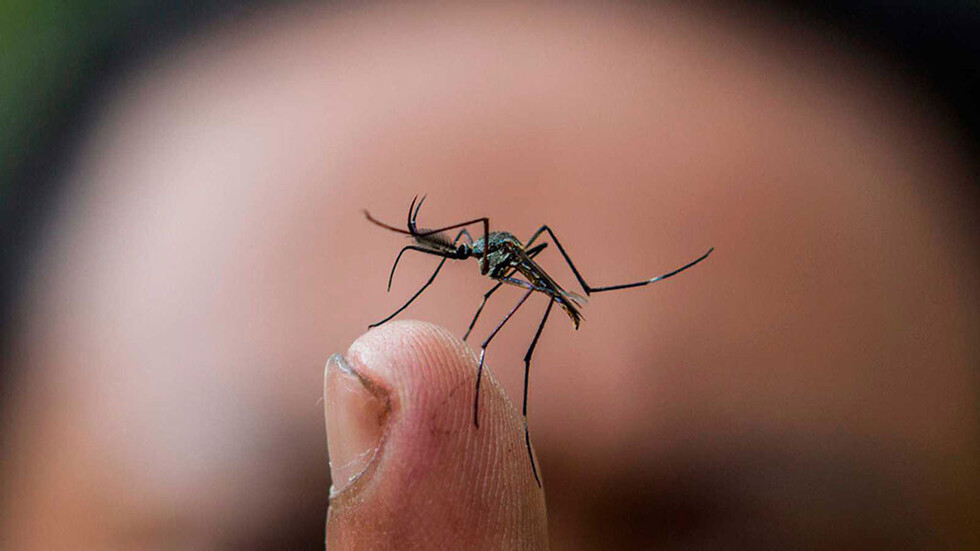¿Qué es el   dengue?