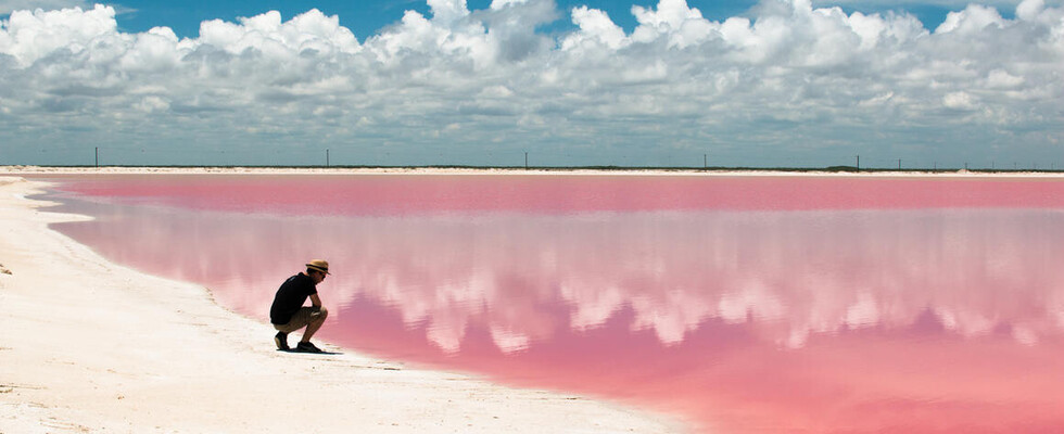No romper con la dependencia propició el retroceso de la “marea rosa”