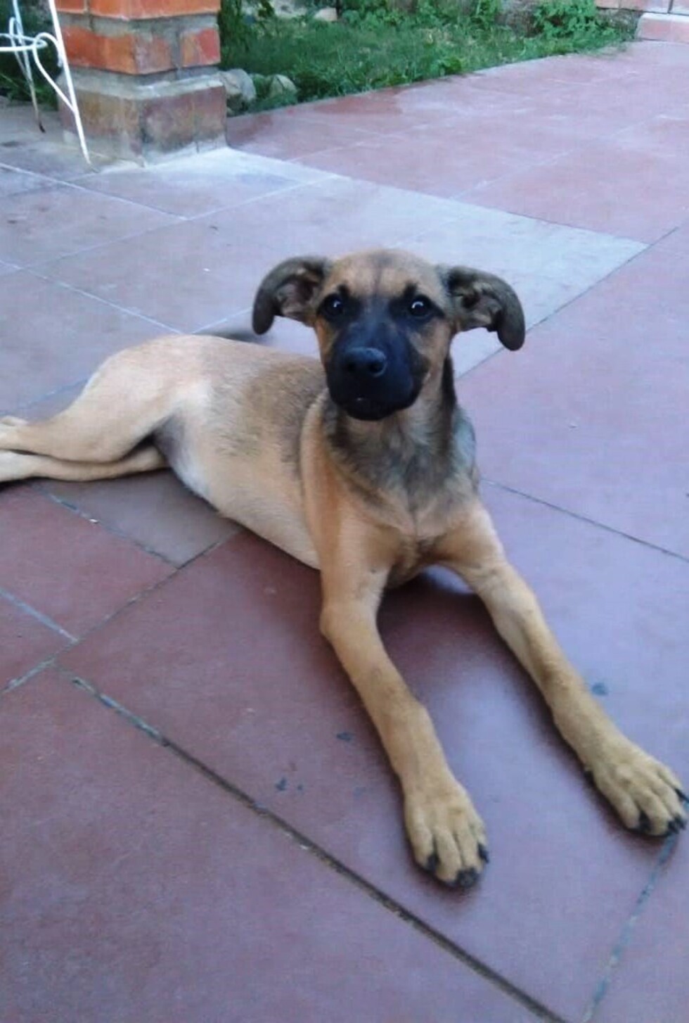 Nucita, dulce como su nombre