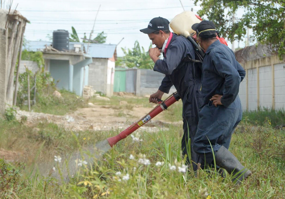 Analizan suspender clases en Bermejo por crisis del dengue