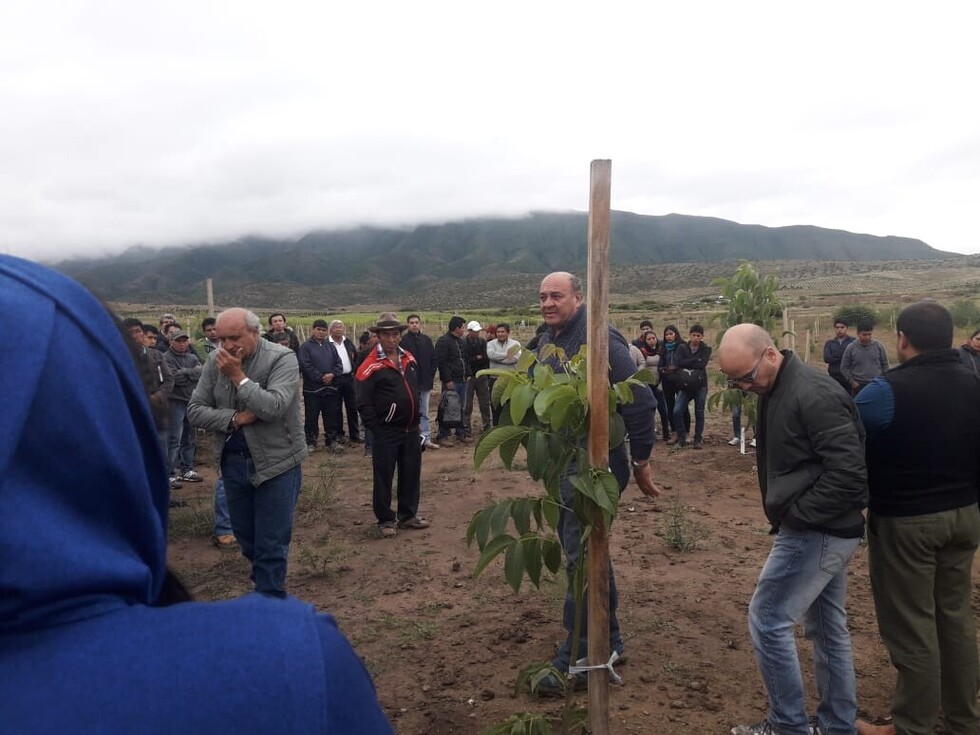 Realizan curso internacional sobre cultivo de nogales