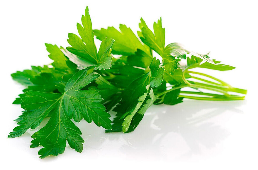 Perejil en la nutrición