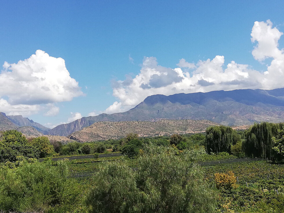 La angostura vista desde la finca Don Lucho en La Choza