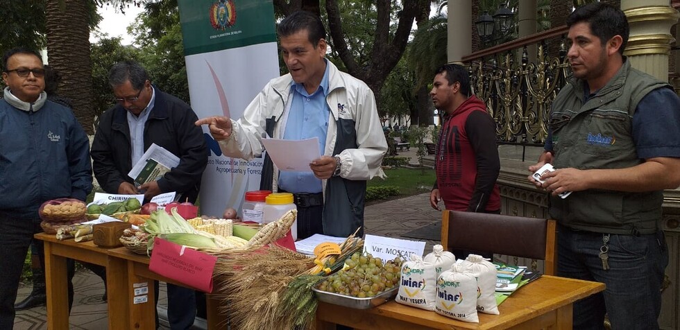 Iniaf registra nuevas variedades de semilla