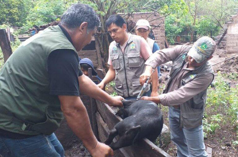 Familias de Pananty reciben asistencia técnica