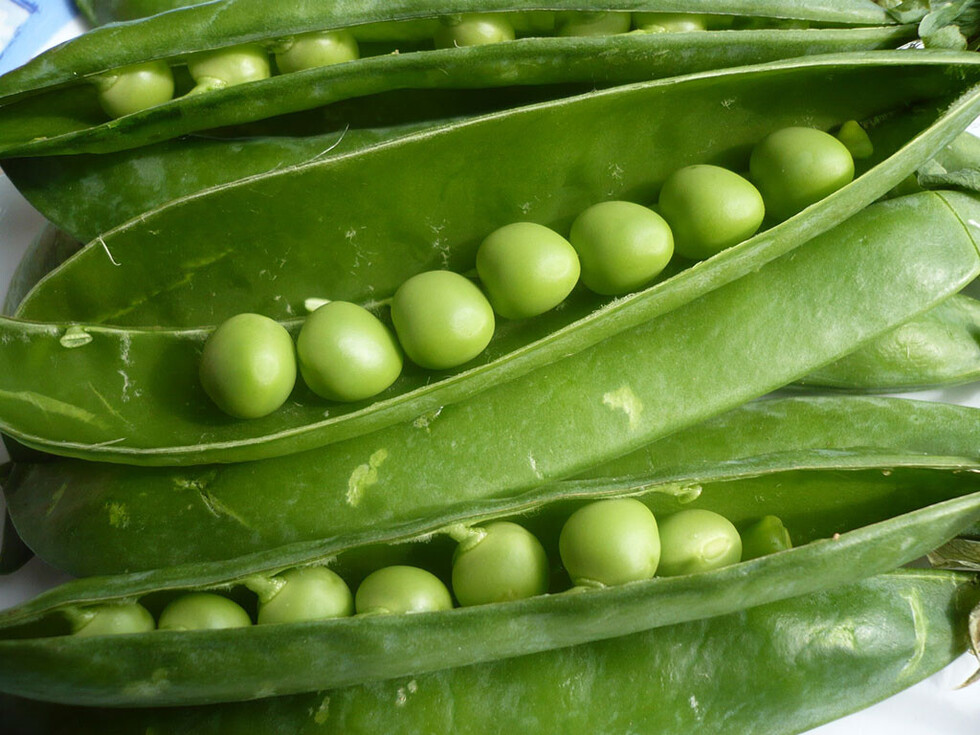 Dieta  sin perder tonicidad