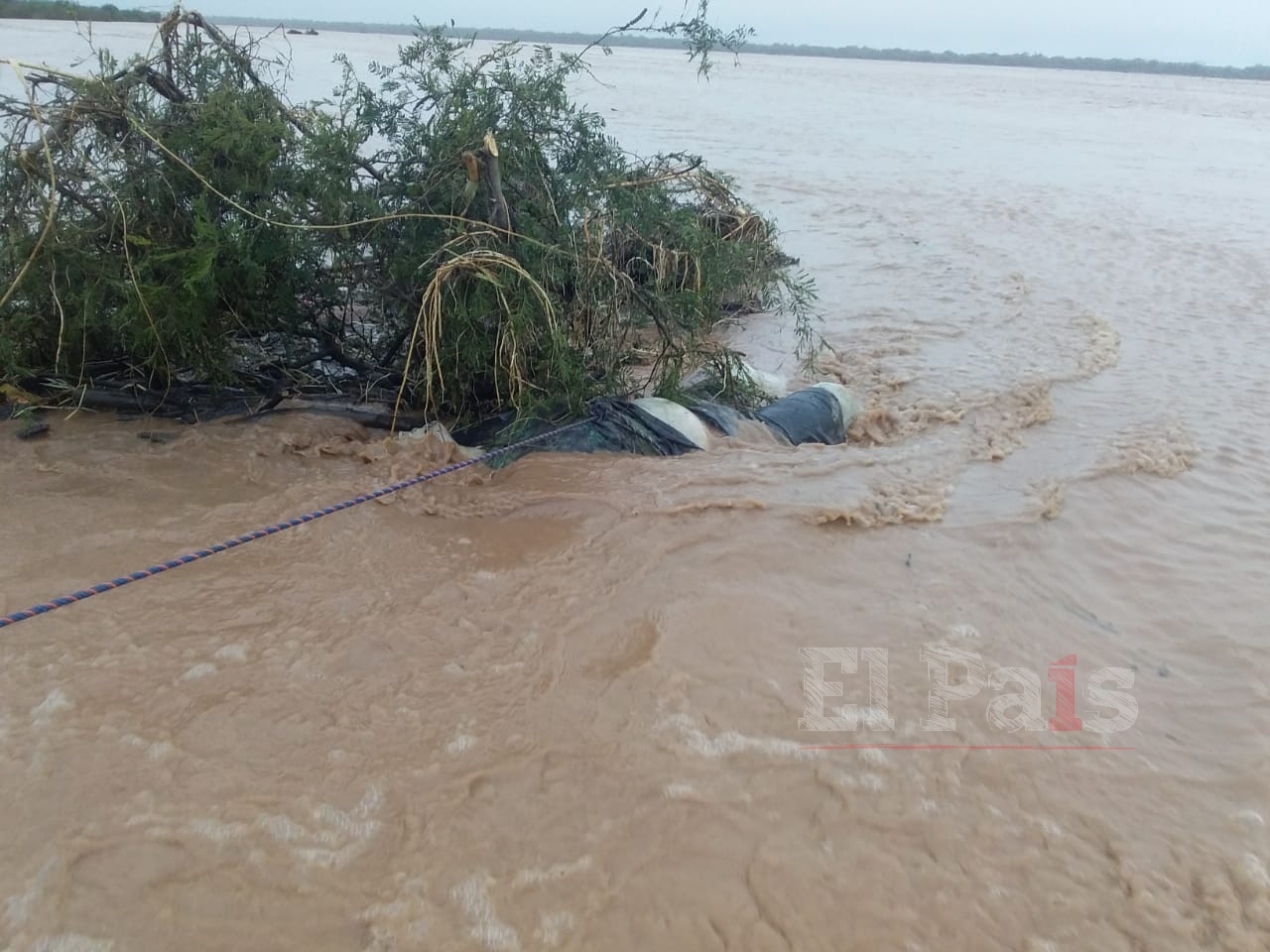 Se levanta la veda en el río Pilcomayo desde el viernes 26 de abril