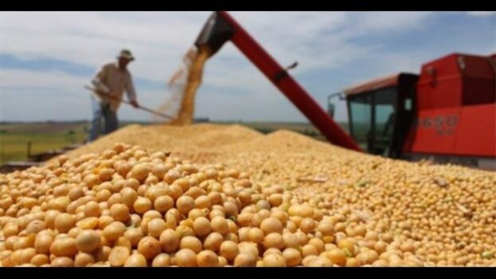 “Poder, acumulación y exclusión” marcan el modelo de la soya en Bolivia