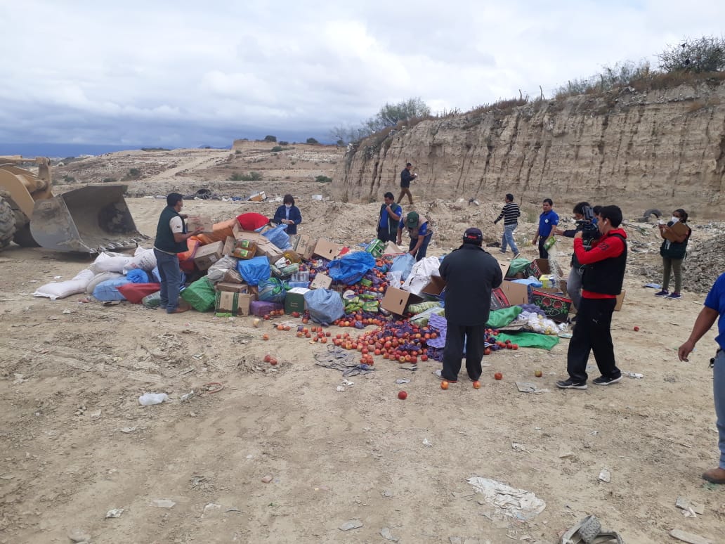 Senasag destruye 4 toneladas de productos decomisados