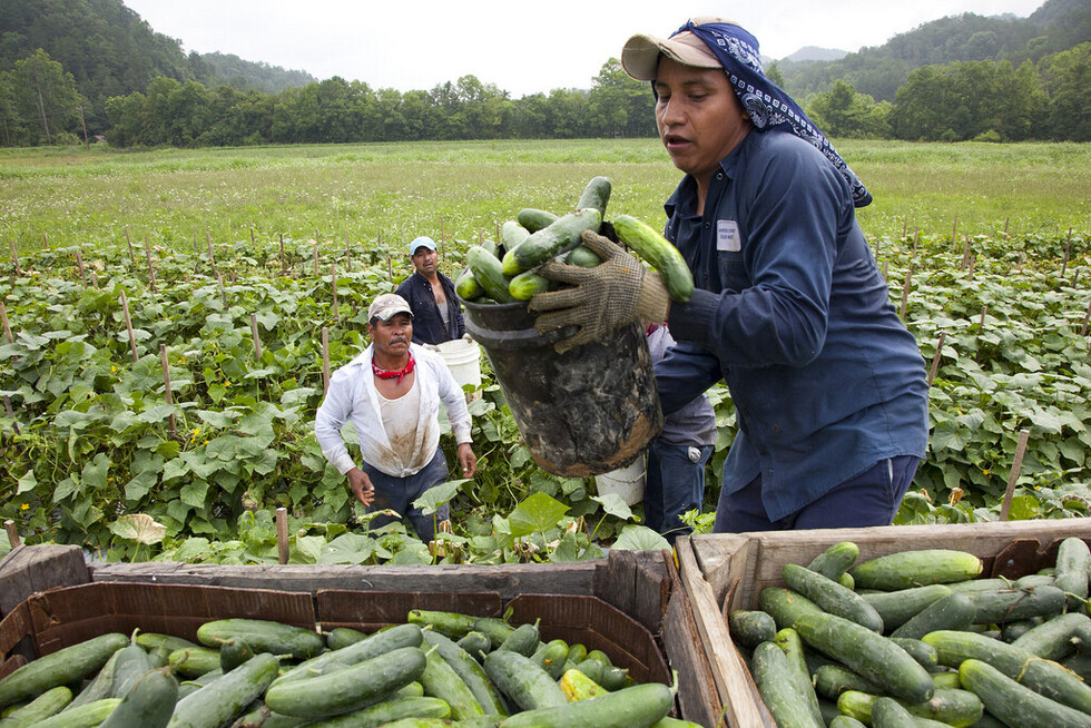 ¿Trabajadores migrantes son  seres humanos o mercancías?