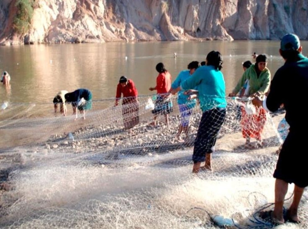 Buscan resguardar fauna piscícola del Pilcomayo