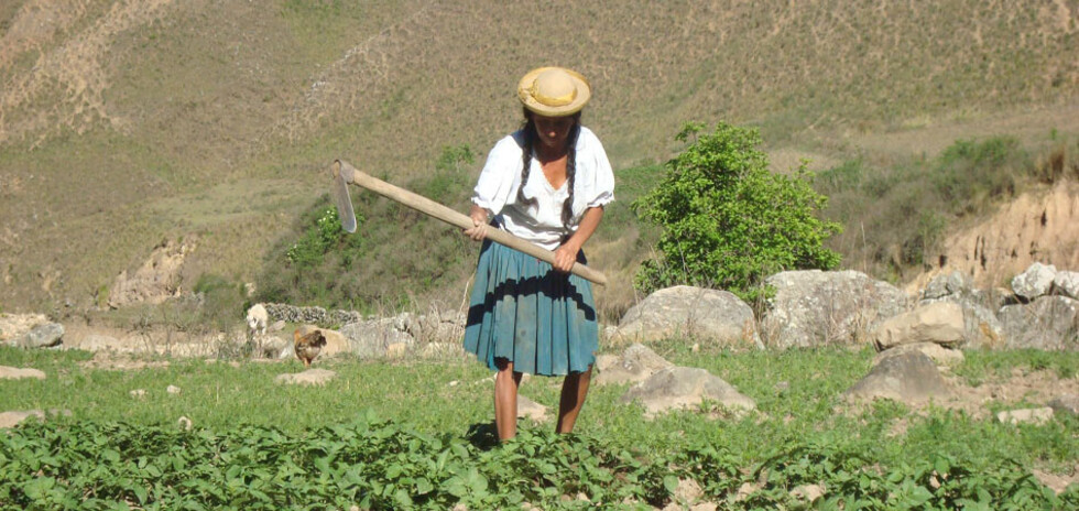 El Prosol, único programa  asistencial que sobrevive