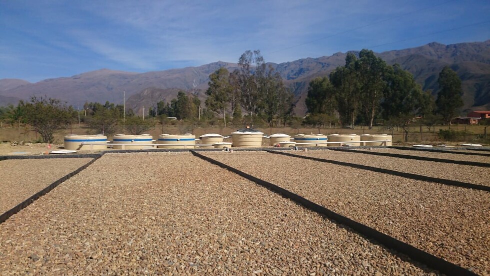 Fedjuve y Comité Impulsor destacan labor de la Alcaldía en planta de San Andrés