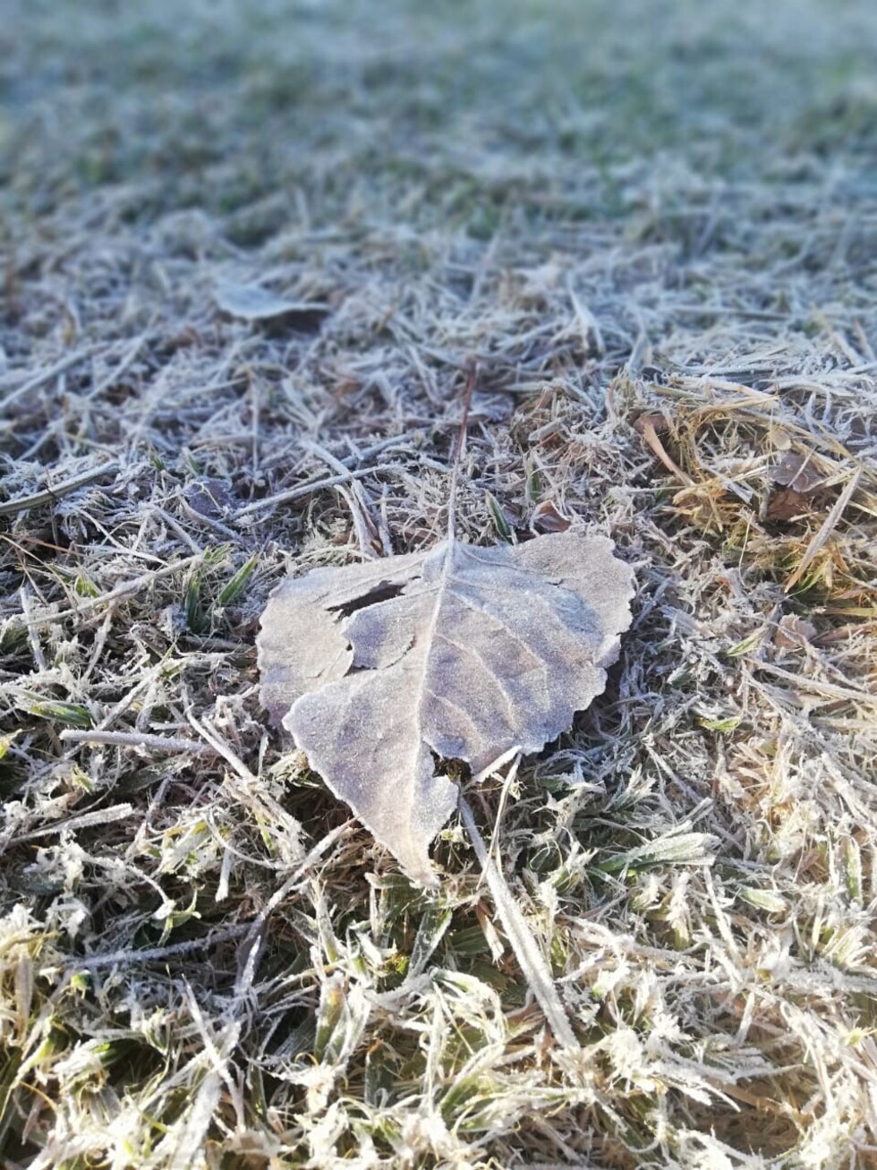 La jornada de hoy, la más fría del otoño en Tarija