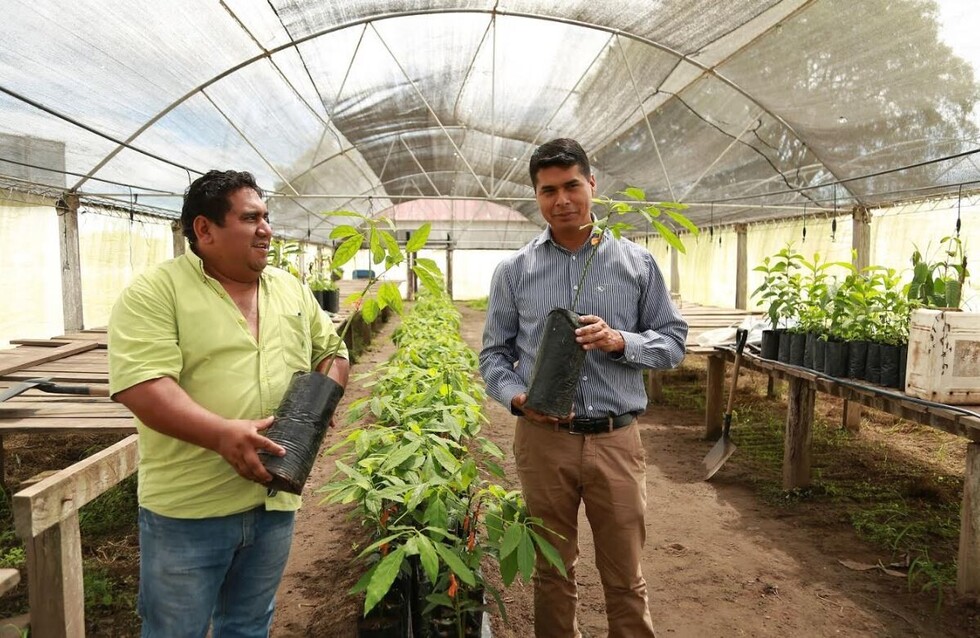 El Chaco busca certificar semillas de hortalizas