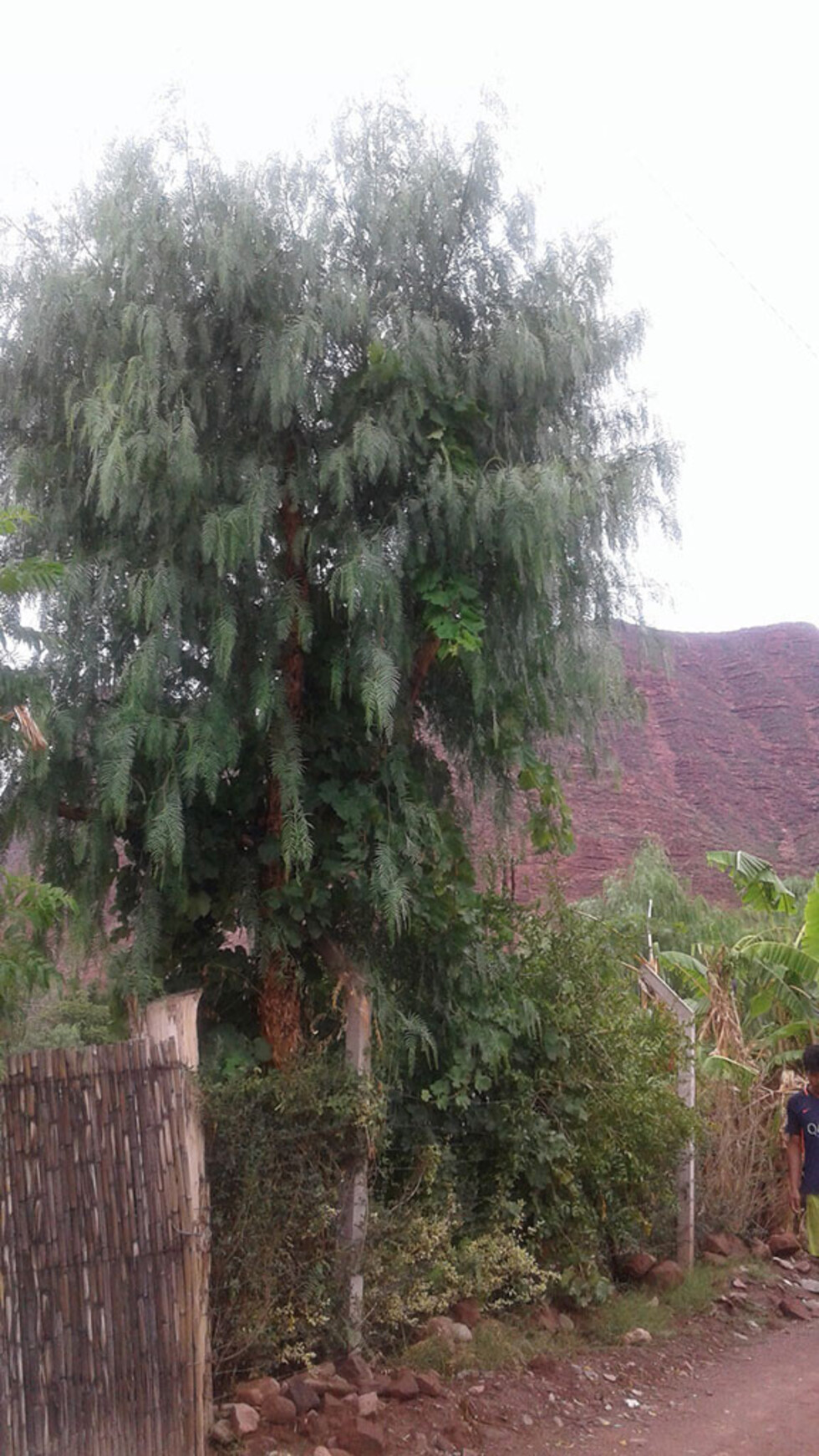 Paisajes de Villa Abecia